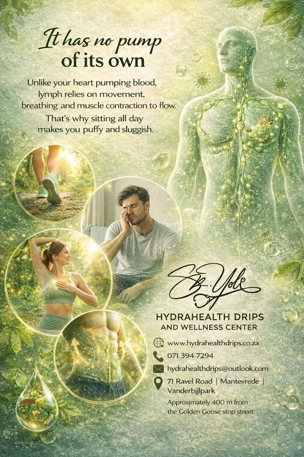 Wellness Therapy